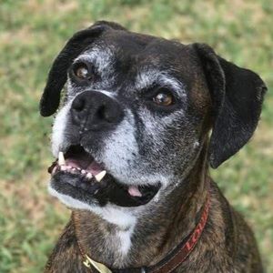 Meet your Posher, Tam